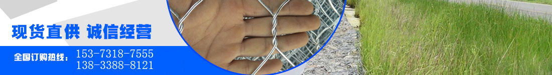 活塞密封、活塞桿密封、靜密封